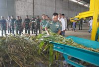 Foto: Pangdam V/Brawijaya/ Istimewa