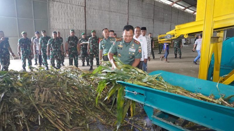 Foto: Pangdam V/Brawijaya/ Istimewa