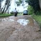 Kondisi jalan kabupaten yang rusak parah di Dusun Tajjan, Desa Kerta Barat, Kecamatan Dasuk, Sumenep. (Dok. bagiberita.id/)