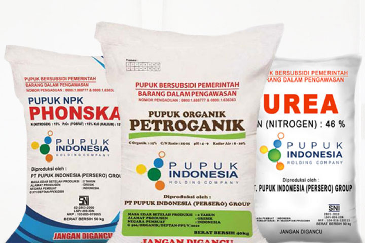 Foto : Ilustrasi Pupuk 