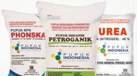 img-pupuk-subsidi